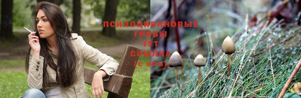 мескалин Алексин